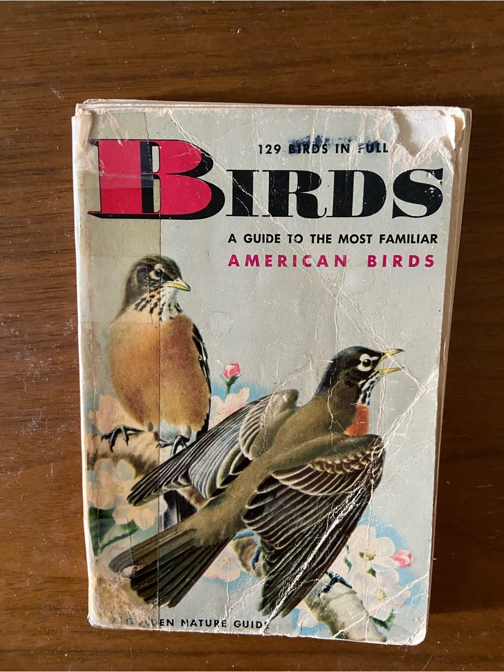 Vintage 50s 1950s illustrated Golden Nature American Birds book bird book Retro